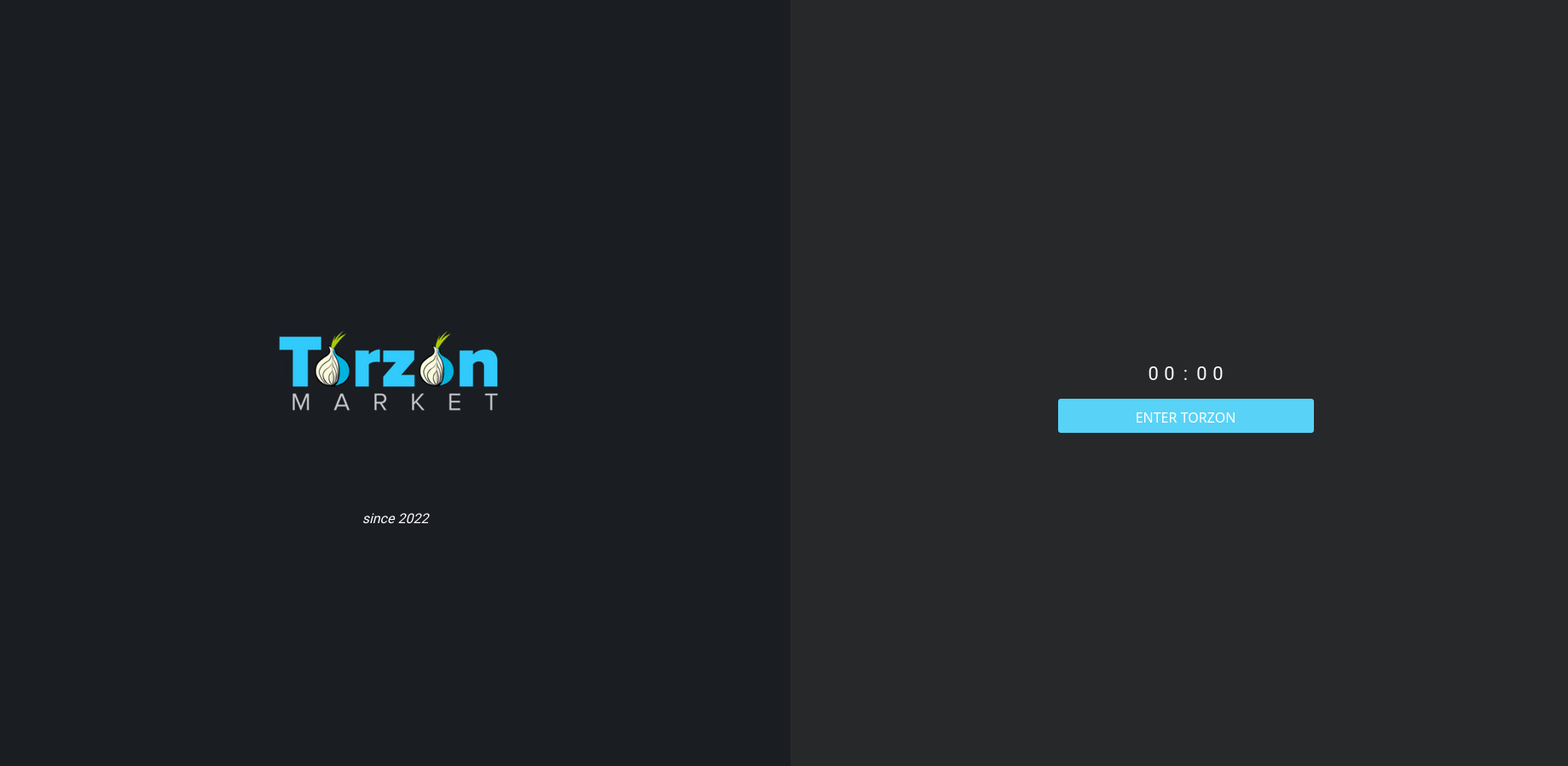 TorZon Market DDOS Protection Page